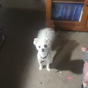 Meet your Posher, Valerie